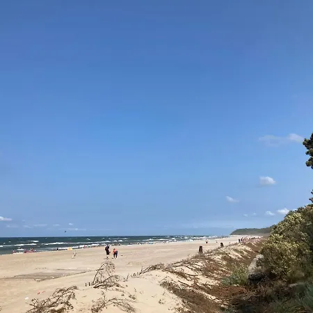 펜션 Nella Foresta *